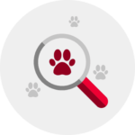 tim kiem thu cung do vat 20210909101658 1